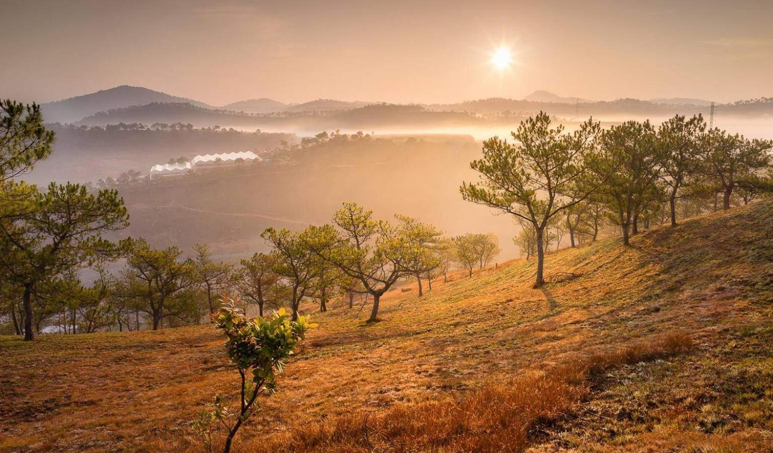 Anh Duc Hotel Da Lat City エクステリア 写真